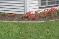 Fun-in-the-Garden-012