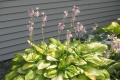 Fun-in-the-Garden-017